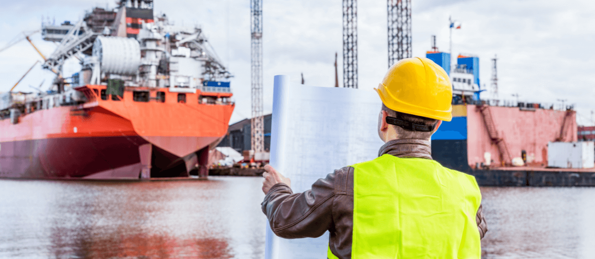 Vessel Surveys