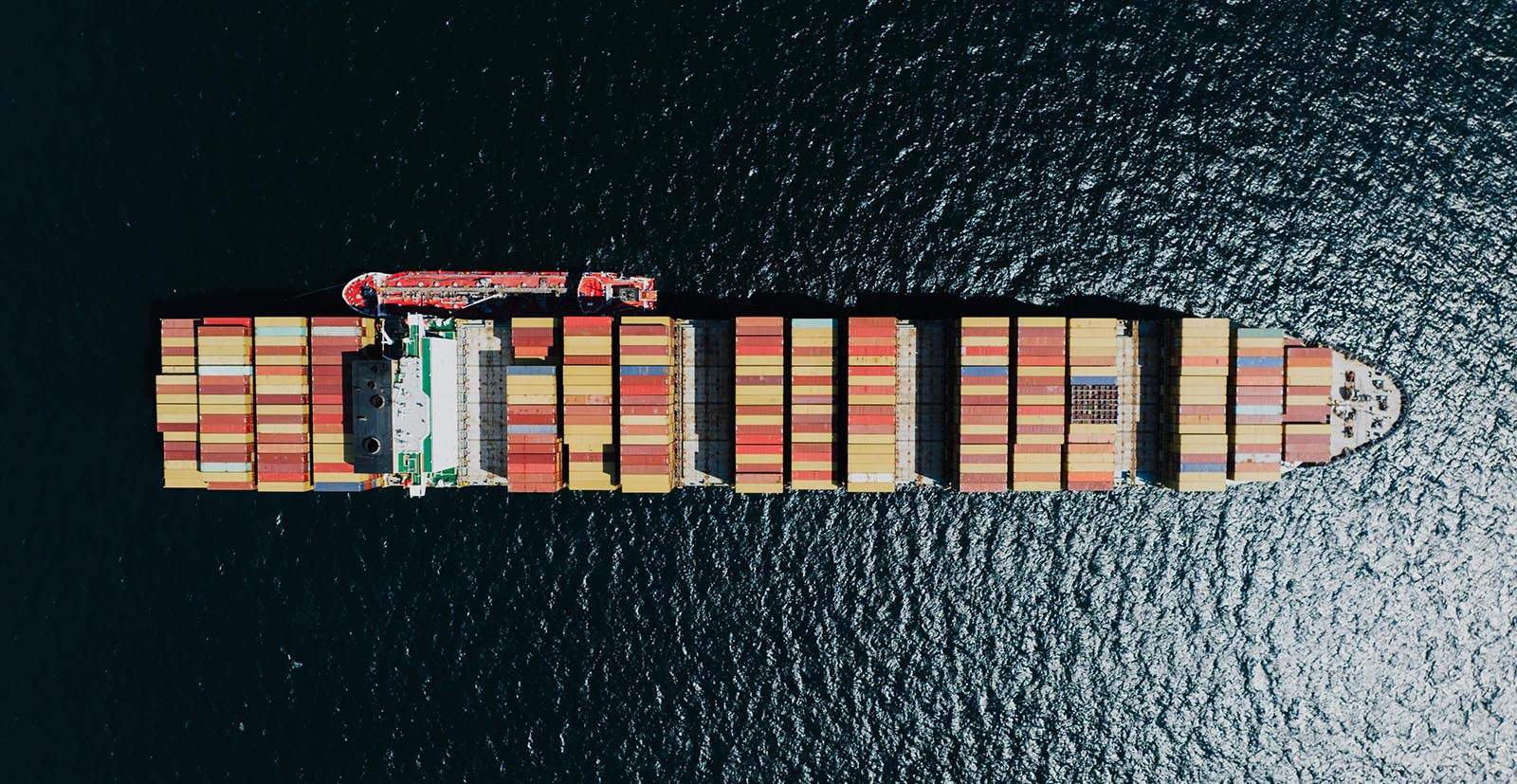 Cargo Surveys